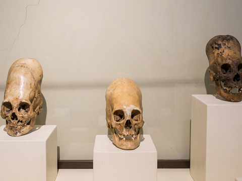 Il segreto di Paracas: I teschi allungati che la scienza non può spiegare