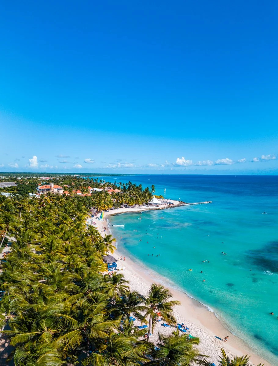 Bravo Viva Dominicus